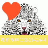 建筑猎头顾问寇峰个人信息_三幸网