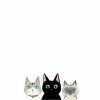 建筑猎头顾问王尼玛个人信息_三幸网