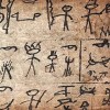 建筑猎头顾问樊青个人信息_三幸网