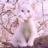 建筑猎头顾问李女士个人信息_三幸网