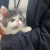 建筑猎头顾问孙工个人信息_三幸网