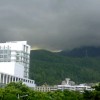建筑猎头顾问柯棋腾个人信息_三幸网