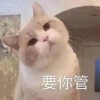 建筑猎头顾问冯先生个人信息_三幸网