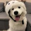 建筑猎头顾问邹姐个人信息_三幸网