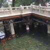 建筑猎头顾问沈红娟个人信息_三幸网