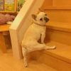 建筑猎头顾问徐工个人信息_三幸网