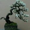 建筑猎头顾问谢江个人信息_三幸网