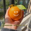 建筑猎头顾问徐工个人信息_三幸网