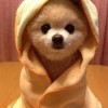 建筑猎头顾问王经理个人信息_三幸网