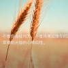 建筑猎头顾问李女士个人信息_三幸网