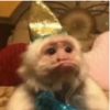 建筑猎头顾问小黄个人信息_三幸网
