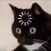 建筑猎头顾问俞林江个人信息_三幸网