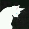 建筑猎头顾问段志军个人信息_三幸网
