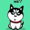 建筑猎头顾问郭个人信息_三幸网