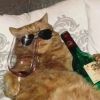 建筑猎头顾问袁智个人信息_三幸网