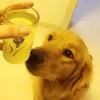 建筑猎头顾问袁工个人信息_三幸网
