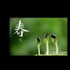 建筑猎头顾问张个人信息_三幸网