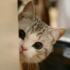 建筑猎头顾问周女士个人信息_三幸网