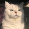 建筑猎头顾问刘震个人信息_三幸网