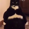 建筑猎头顾问孙楠个人信息_三幸网