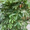 建筑猎头顾问许宾个人信息_三幸网