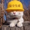建筑猎头顾问赵工个人信息_三幸网