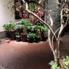建筑猎头顾问邓老师个人信息_三幸网