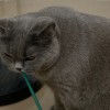 建筑猎头顾问黄创锐个人信息_三幸网