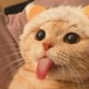 建筑猎头顾问张工个人信息_三幸网