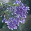 建筑猎头顾问李工个人信息_三幸网