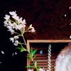 建筑猎头顾问金毅个人信息_三幸网