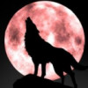 建筑猎头顾问冯工个人信息_三幸网