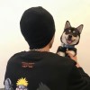 建筑猎头顾问伏晨辉个人信息_三幸网