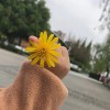 建筑猎头顾问陈工个人信息_三幸网