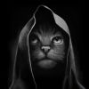 建筑猎头顾问王个人信息_三幸网