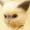 建筑猎头顾问刘小姐个人信息_三幸网