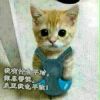 建筑猎头顾问高工个人信息_三幸网