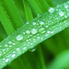 建筑猎头顾问洪工个人信息_三幸网