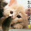 建筑猎头顾问孙先生个人信息_三幸网
