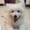 建筑猎头顾问余先生个人信息_三幸网