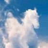 建筑猎头顾问程敏洪个人信息_三幸网