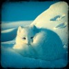 建筑猎头顾问王先生个人信息_三幸网