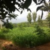 建筑猎头顾问孙长敏个人信息_三幸网