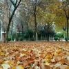 建筑猎头顾问胡先生个人信息_三幸网
