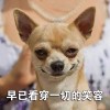 建筑猎头顾问张工个人信息_三幸网