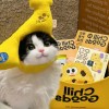 建筑猎头顾问刘老师个人信息_三幸网