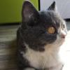 建筑猎头顾问刘女士个人信息_三幸网