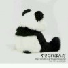 建筑猎头顾问李工个人信息_三幸网