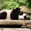 建筑猎头顾问张明军个人信息_三幸网