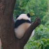 建筑猎头顾问田丁个人信息_三幸网